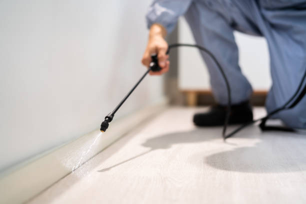 Licensed Termite Control service in Largo, FL - Show Me Pest Control